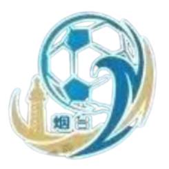 烟台队